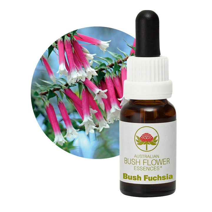 Fuchsia de Magellan