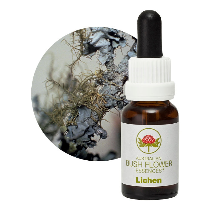 Essence de Lichen
