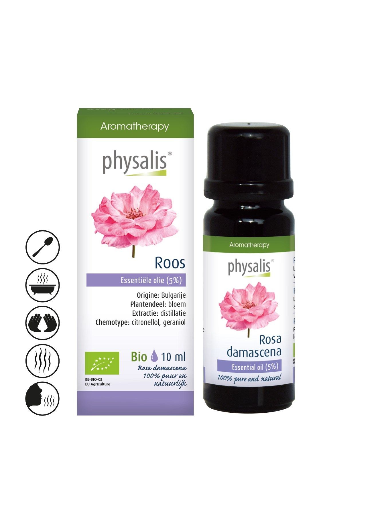 Rose - Physalis