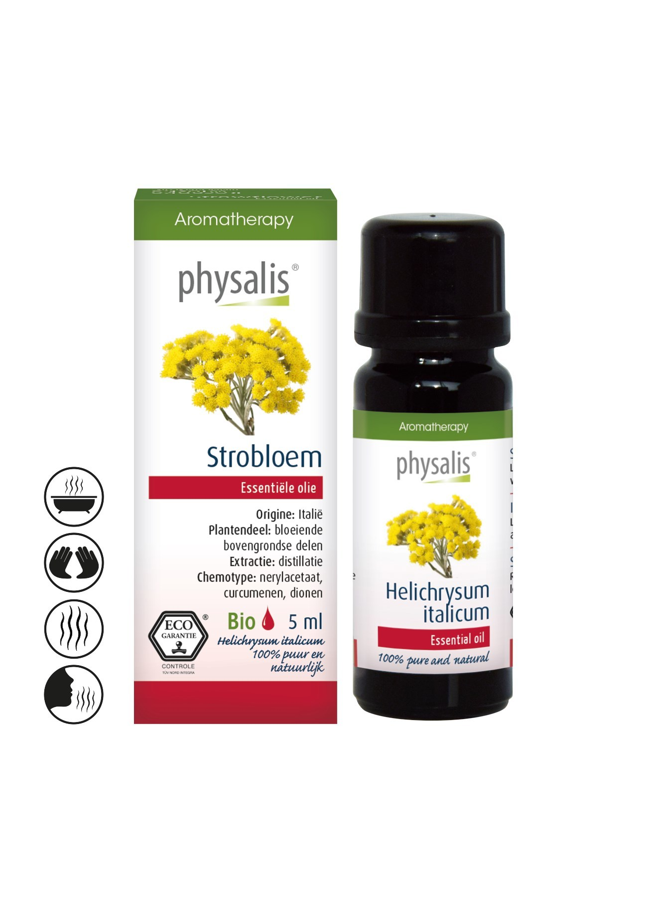 Immortelle - Physalis