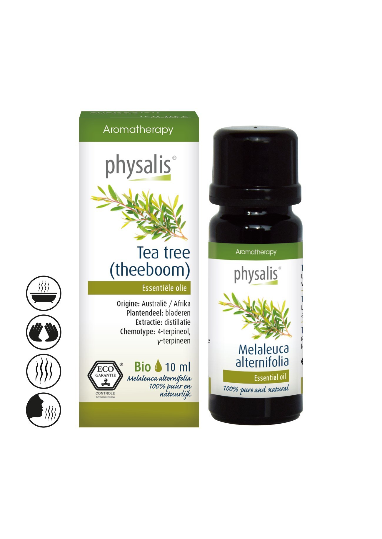 Tea Tree - Physalis