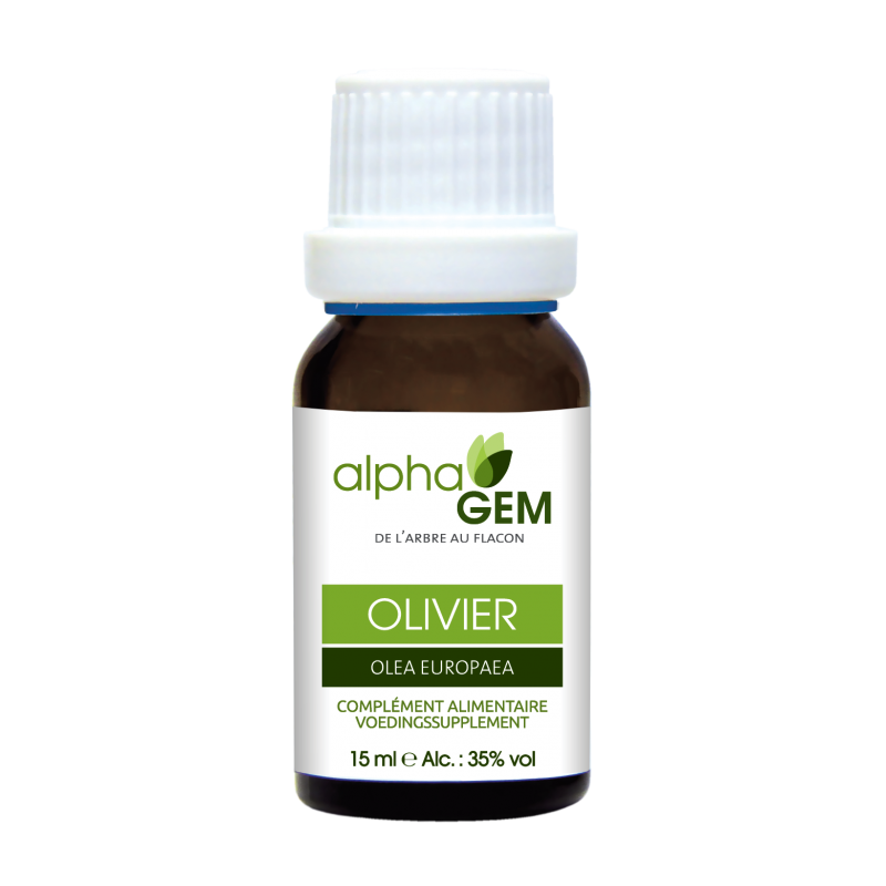 Olivier - Olea Europaea BIO - Alphagem