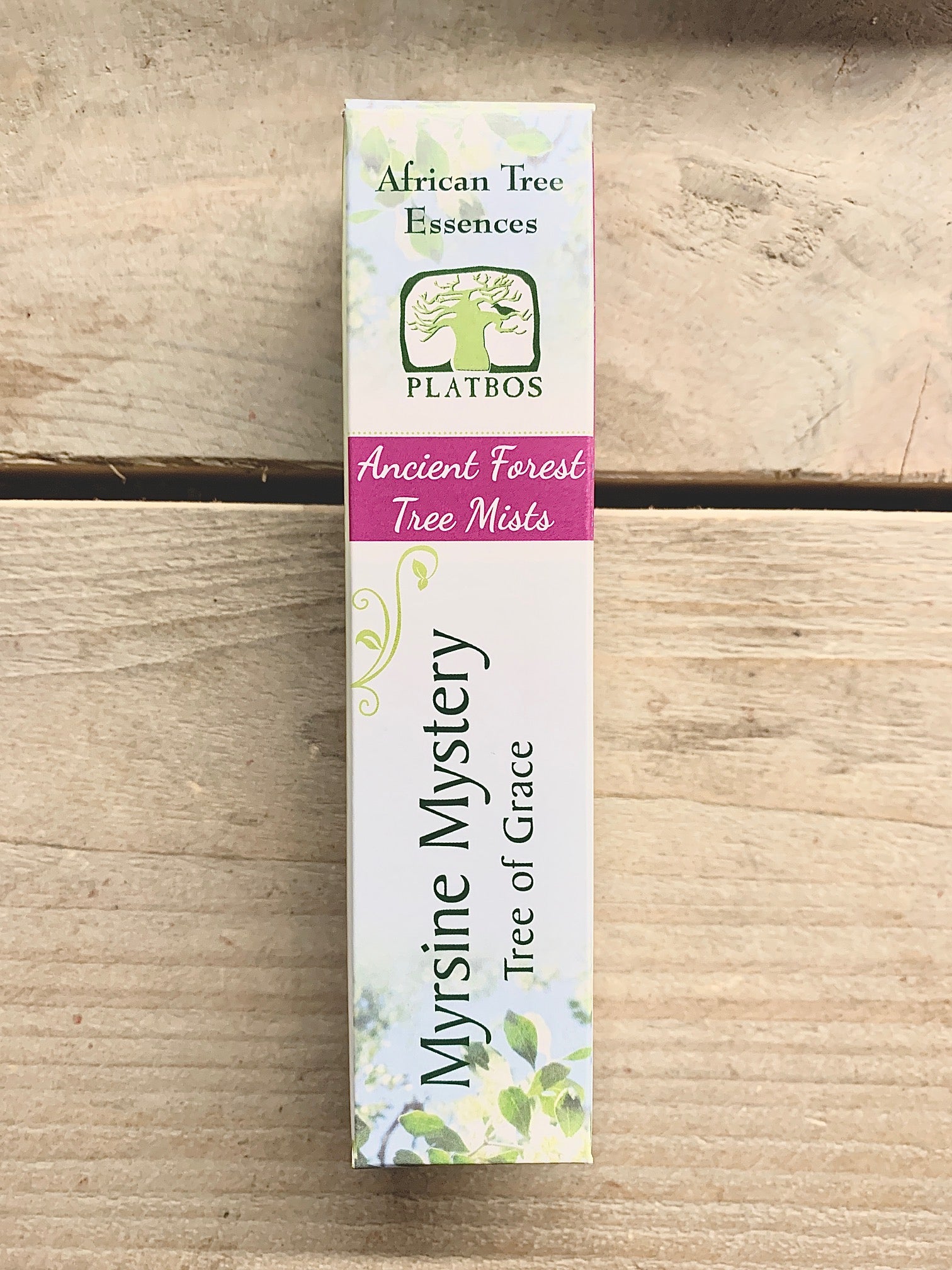 Myrsine Mystery Tree Mist - Arbre de Grâce - Boom van Genade