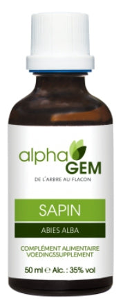 Sapin Blanc - Abies Alba BIO - Alphagem