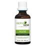 Aulne Noir - Alnus Glutinosa BIO - Alphagem