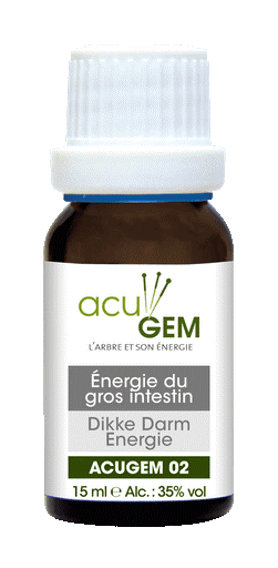 Acugem N°2 - méridiens - Énergie du Gros Intestin