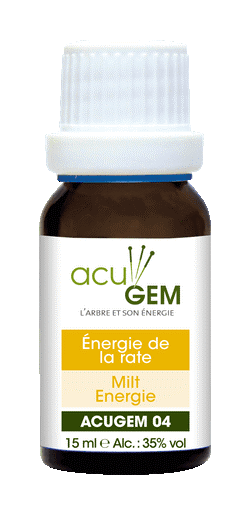 Acugem N°04 - méridiens - Énergie de la Rate
