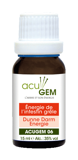 Acugem n°06 - méridiens - Énergie de l'Intestin Grêle