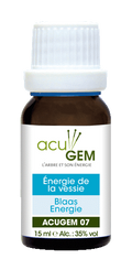 Acugem n°07 - méridiens - Énergie de la Vessie