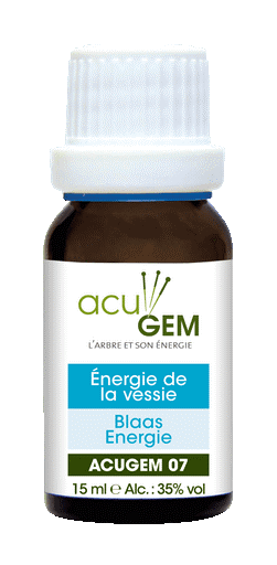 Acugem n°07 - méridiens - Énergie de la Vessie