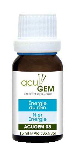Acugem n°08 - méridiens - Énergie des Reins