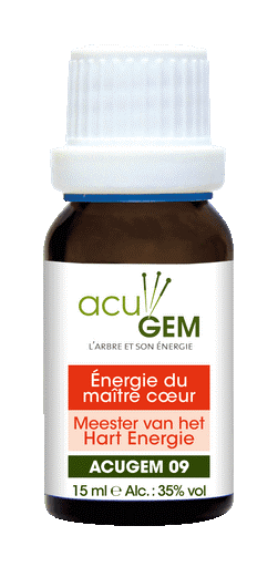 Acugem n°09 - méridiens - Maître du Cœur Énergie