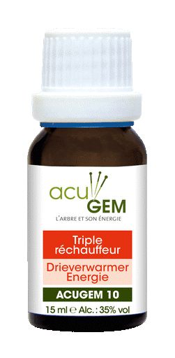 Acugem n°10 - méridiens - Énergie du Triple Réchauffeur