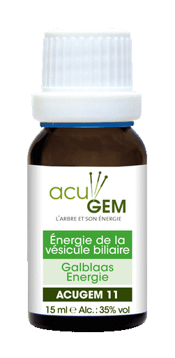 Acugem n°11 - méridiens - Vésicule biliaire