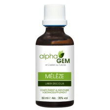 Mélèze - Larix Decidua BIO - Alphagem