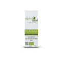 Platane - Platanus orientalis BIO - Alphagem