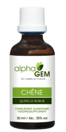 Chêne - Quercus robur BIO - Alphagem