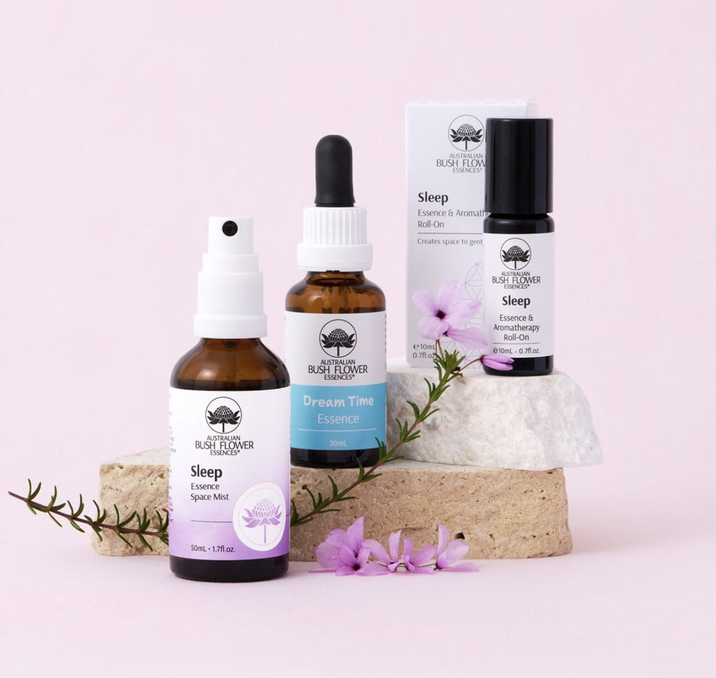 Vaporisateur brume sommeil Space