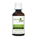 Alisier torminal / Érable Champêtre Bio - Alphagem