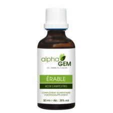 Alisier torminal / Érable Champêtre Bio - Alphagem