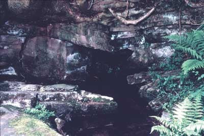 Rock Water - Eau de Roche