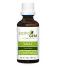 Saule blanc - Salix Alba Gemmae BIO - Alphagem